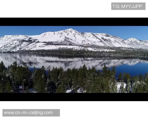 波特诺山丘与波士顿河的精彩对决探讨两地文化与历史的交融与碰撞