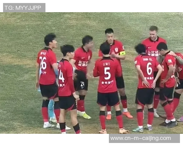 瑞典与法国激战正酣比赛结果揭晓引发球迷热议